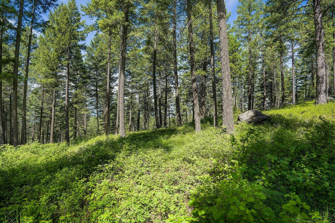 Terreno en Bigfork, Montana, Estados Unidos 5 - 18839018