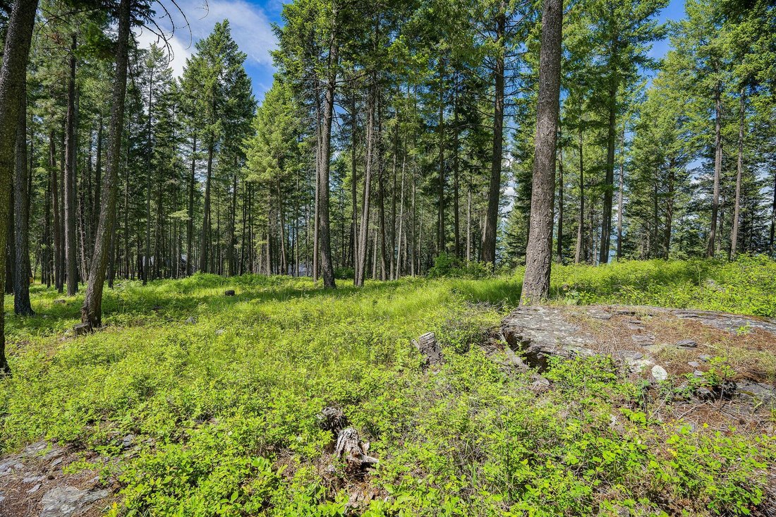 Terreno en Bigfork, Montana, Estados Unidos 4 - 18839018