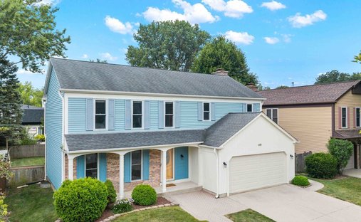 House in Buffalo Grove, Illinois, United States 1