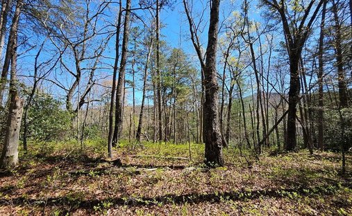 Terreno en Blue Ridge, Georgia, Estados Unidos 1