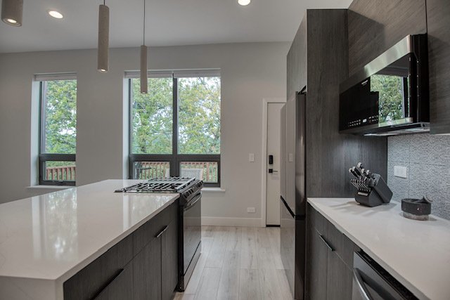 Condo in Chicago, Illinois, United States 3 - 18840812