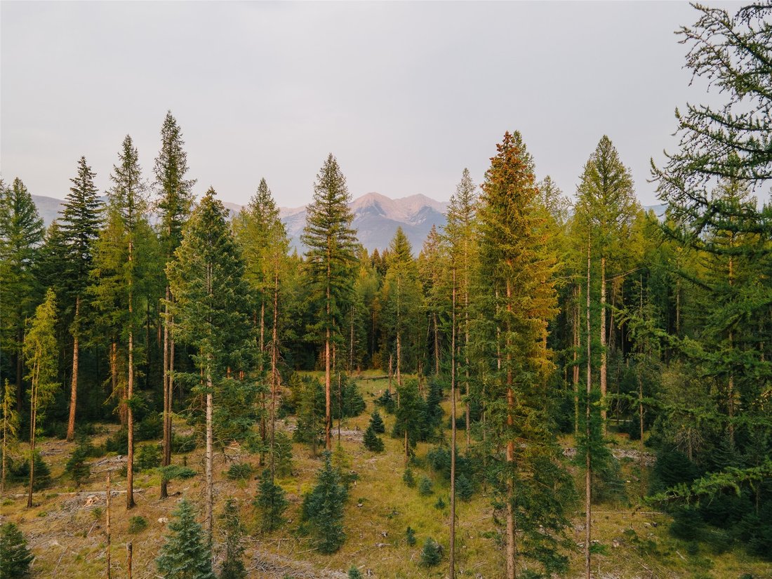 Land in Condon, Montana, United States 1 - 18840760