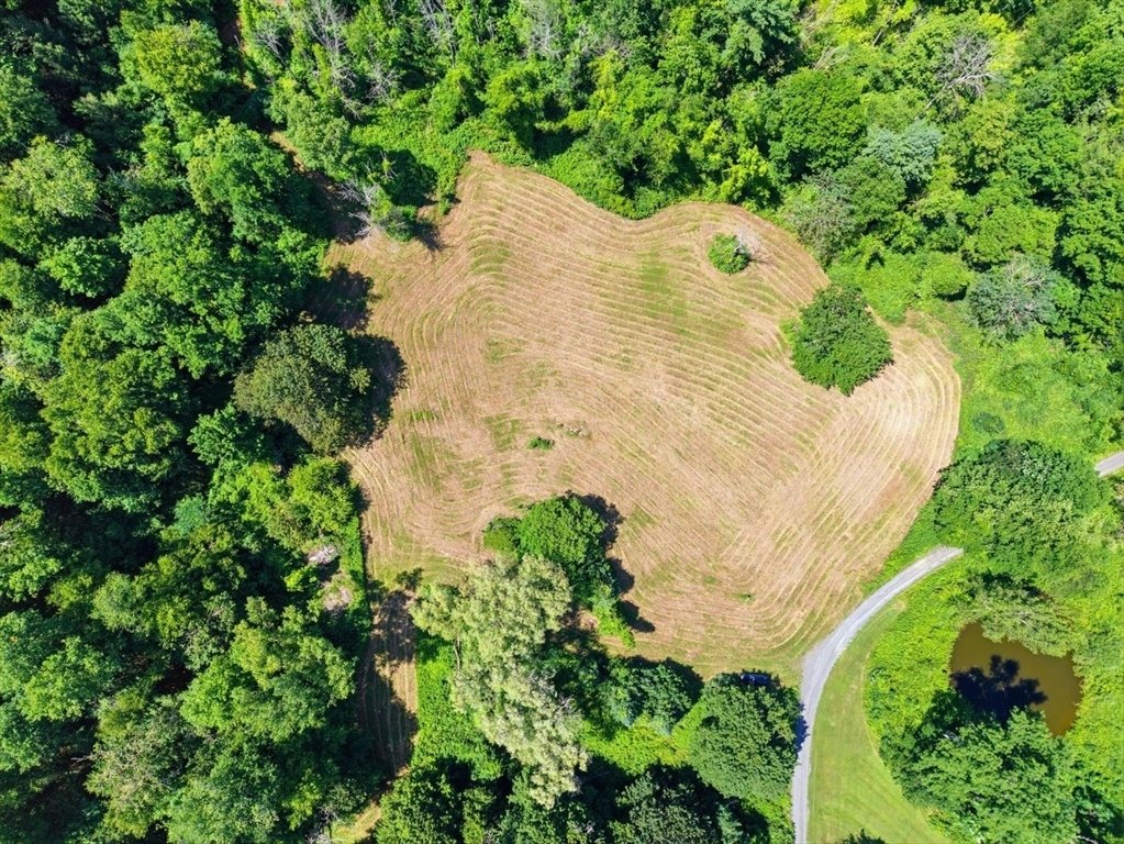 Land in Richmond, Massachusetts, Vereinigte Staaten 3 - 18840258