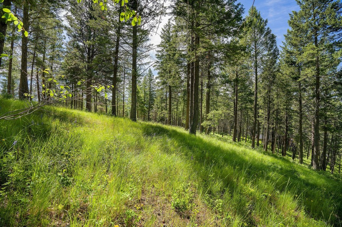 Terrain à Bigfork, Montana, États-Unis 4 - 18838863