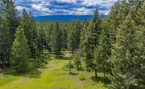 Terrain à Whitefish, Montana, États-Unis 1