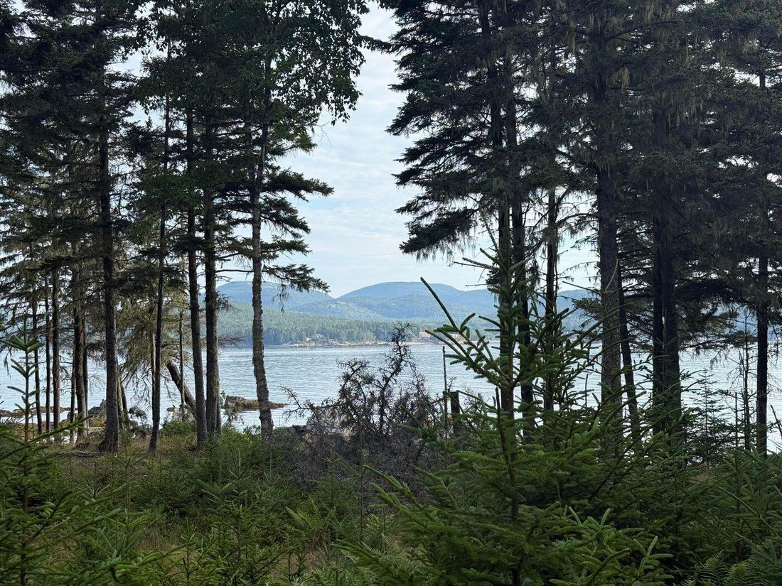 Land in Cranberry Isles, Maine, Vereinigte Staaten 1 - 18839784