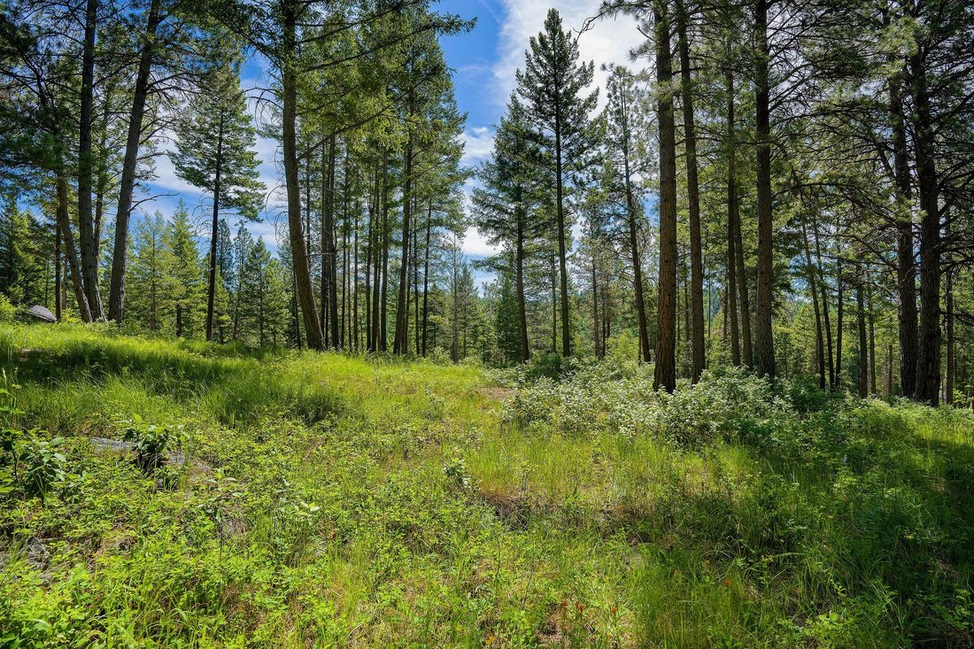 Terrain à Bigfork, Montana, États-Unis 5 - 18838863