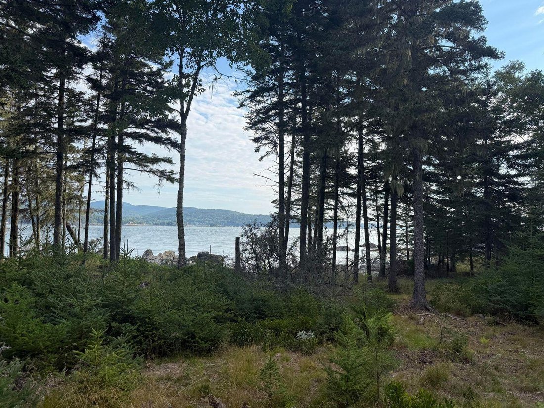 Land in Cranberry Isles, Maine, Vereinigte Staaten 4 - 18839784
