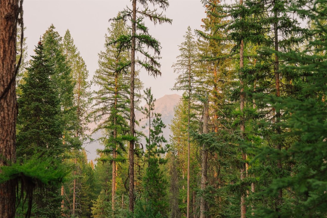 Land in Condon, Montana, United States 5 - 18840760