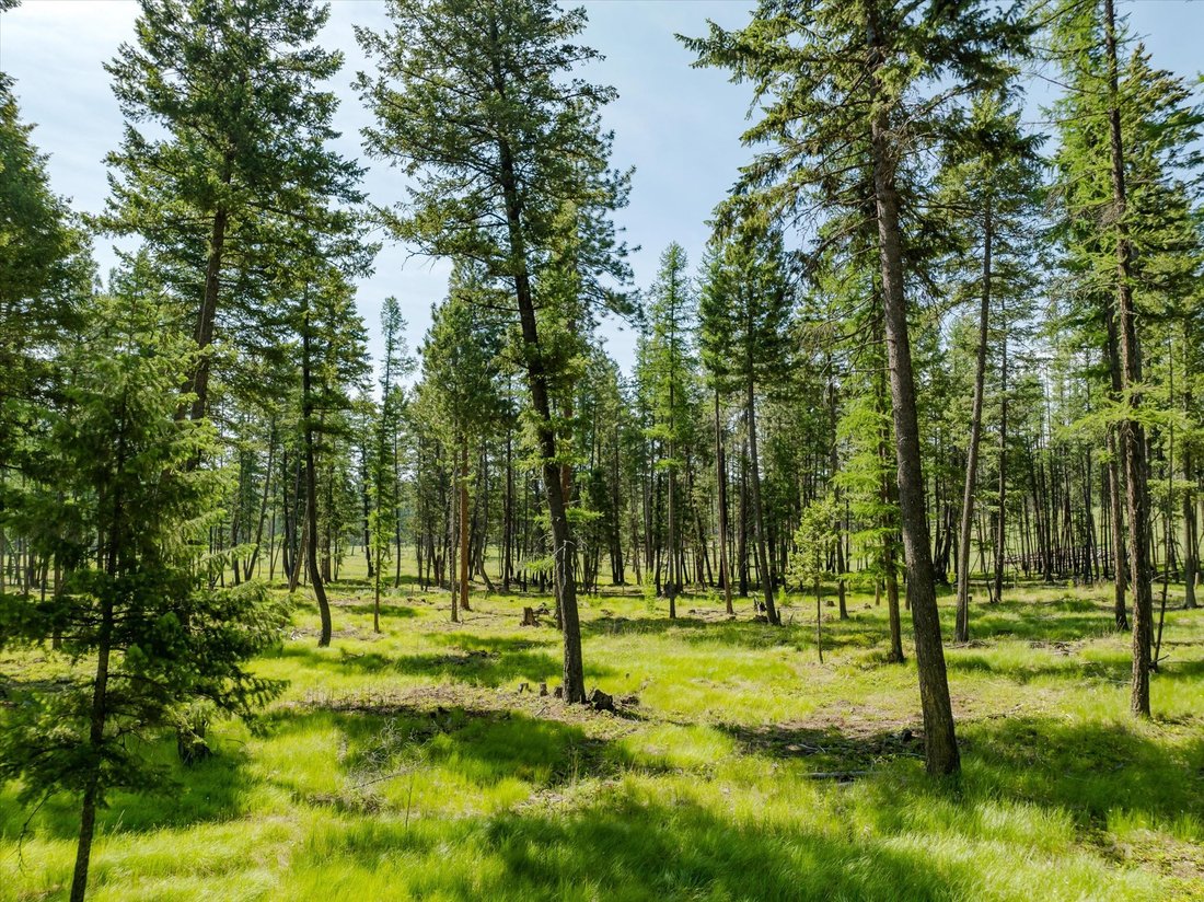 Land in Kalispell, Montana, United States 1 - 18840739