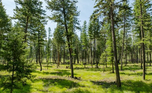 Land in Kalispell, Montana, United States 1