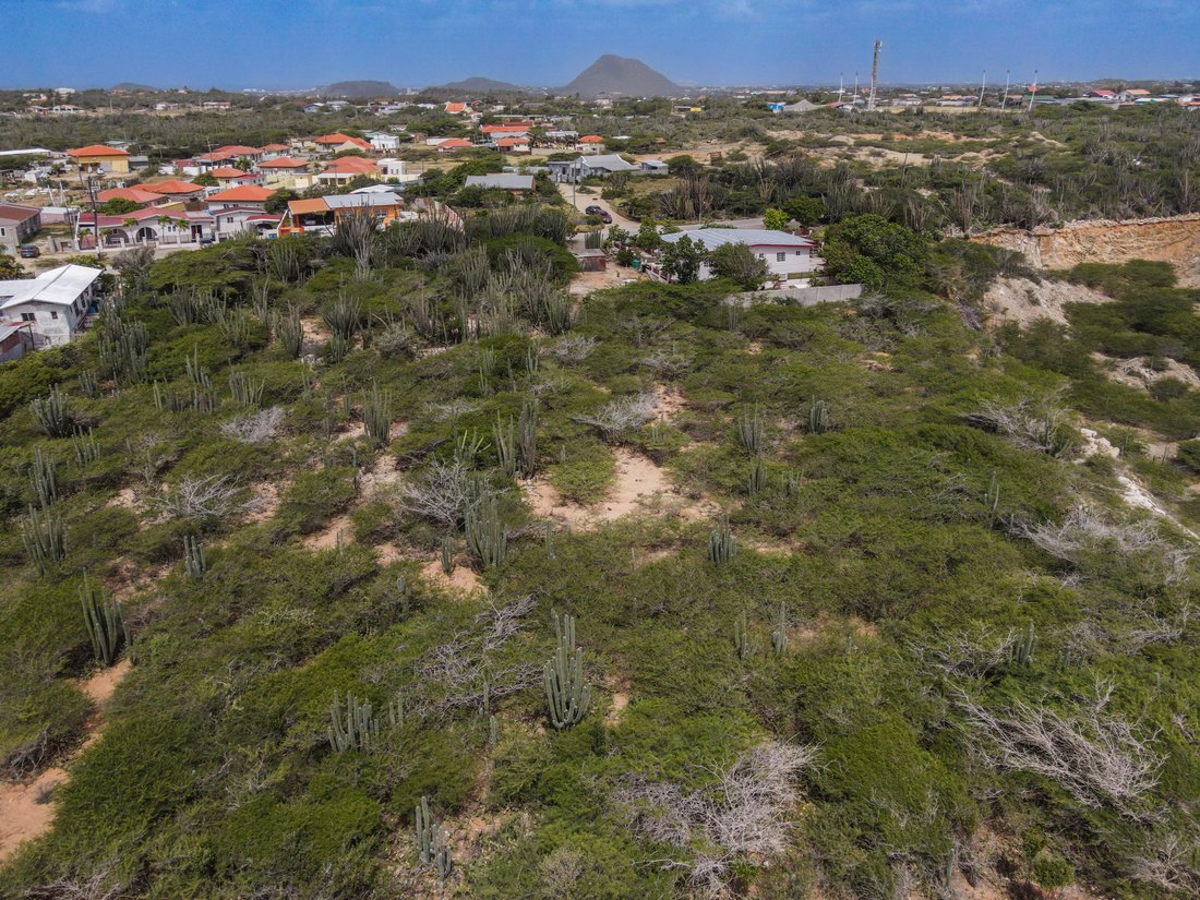 Land in Santa Cruz, Aruba 1 - 18840481