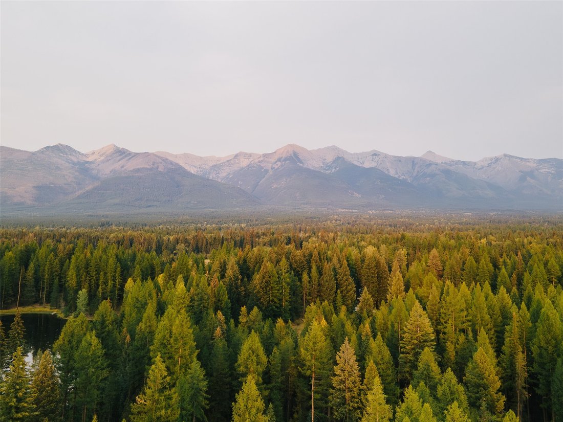Land in Condon, Montana, United States 4 - 18840760