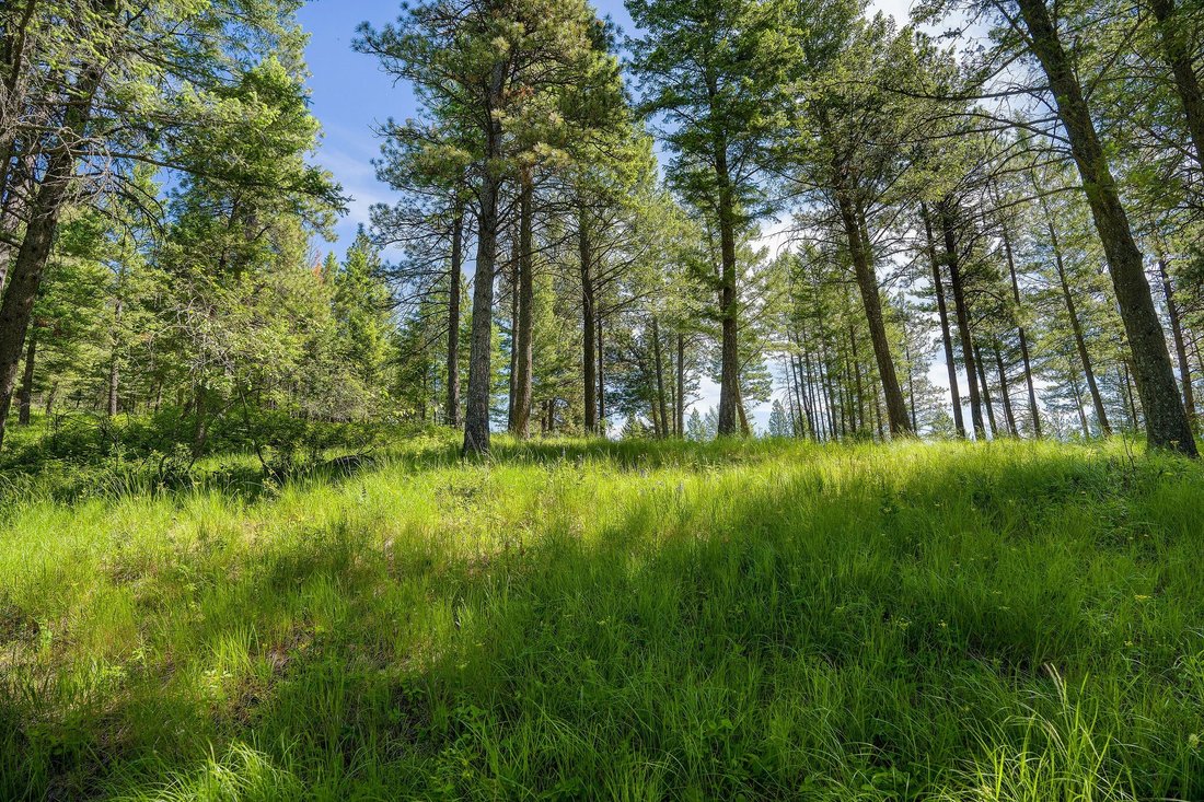 Terrain à Bigfork, Montana, États-Unis 3 - 18838863
