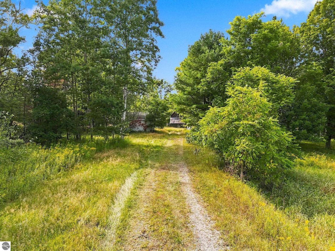 Land in Cedar, Michigan, United States 3 - 18839797