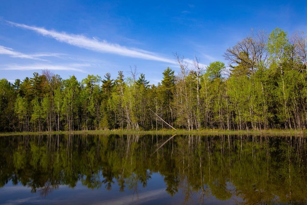 Terreno en Baileys Harbor, Wisconsin, Estados Unidos 3 - 18839680