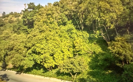 Terreno a Los Angeles, California, Stati Uniti 1