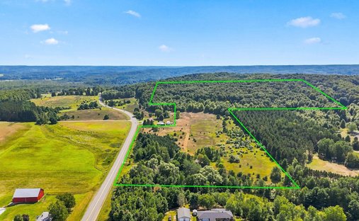 Land in Cedar, Michigan, United States 1