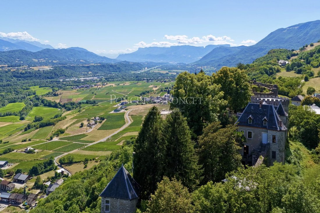 Chateau in Saint-Pierre-d'Albigny, Auvergne-Rhône-Alpes, France 5 - 17500037
