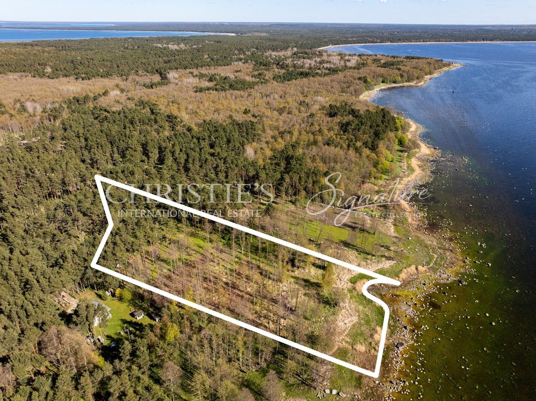 Altro a Neeme, Harjumaa, Estonia 4 - 18841067