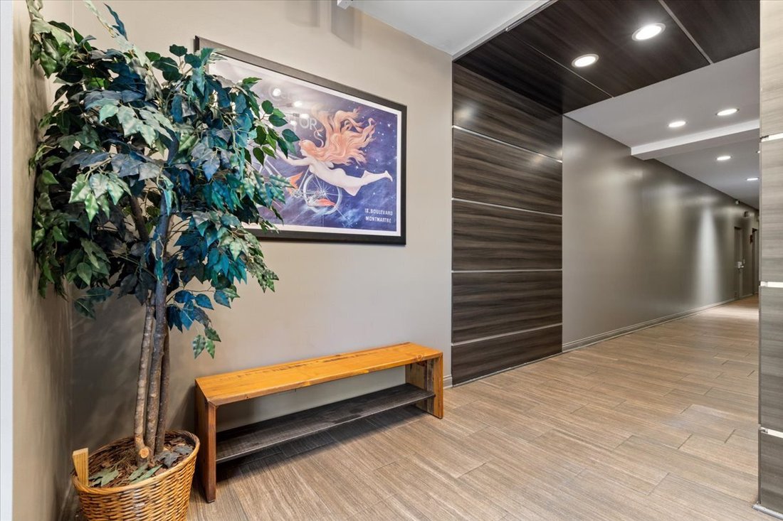 Condo in Chicago, Illinois, United States 3 - 18839610