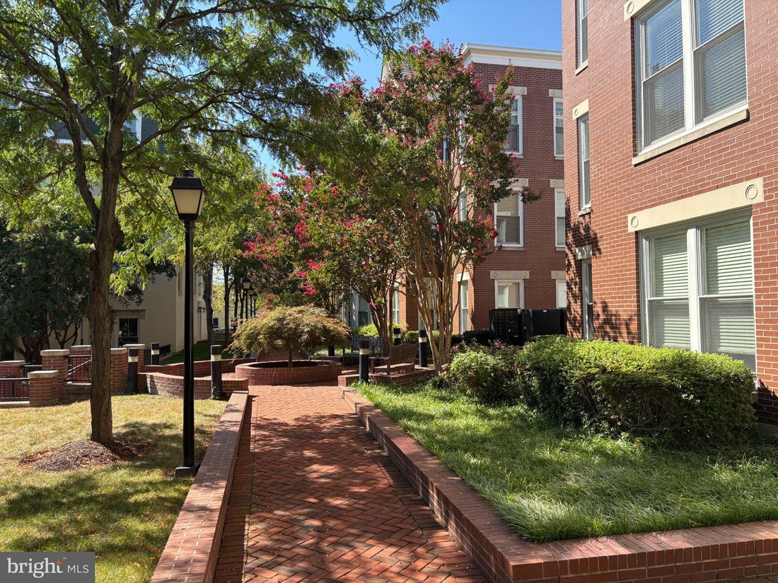 Condominio a Alexandria, Virginia, Stati Uniti 3 - 18841499