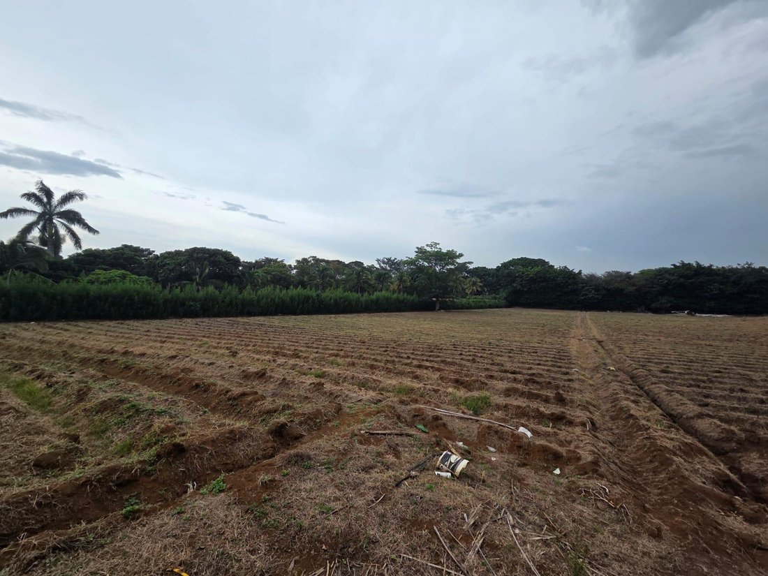 Land in San Antonio District, Belén, Heredia, Costa Rica 1 - 18821970