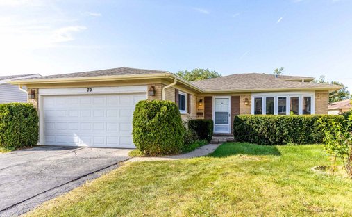 House in Des Plaines, Illinois, United States 1