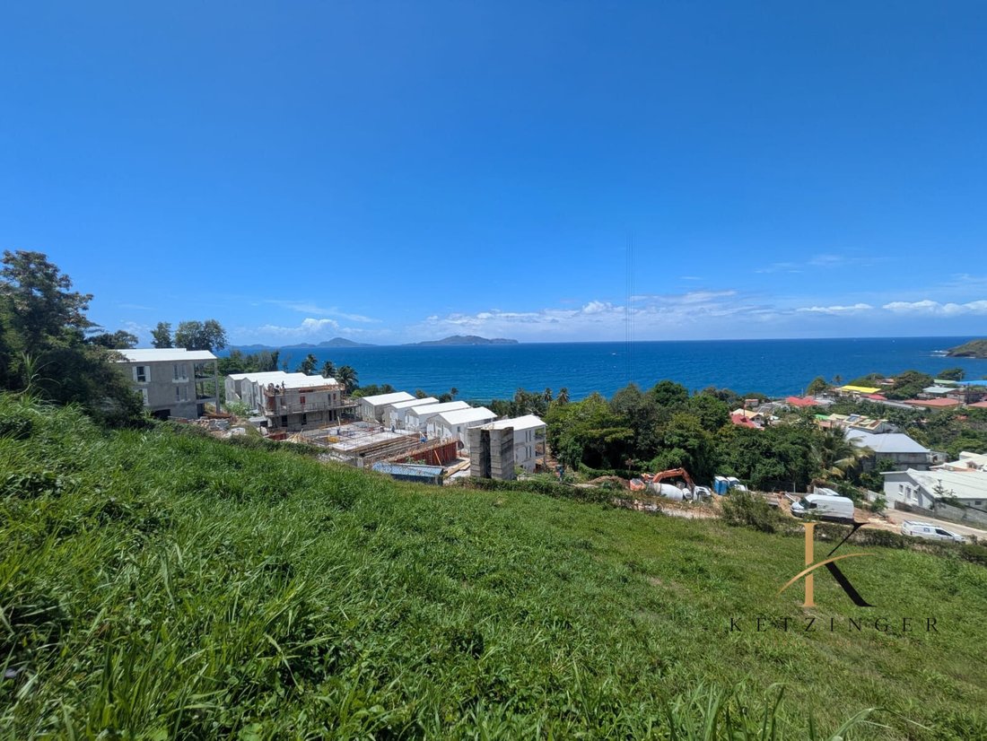 Haus in Trois-Rivières, Basse-Terre, Guadeloupe 3 - 18012158