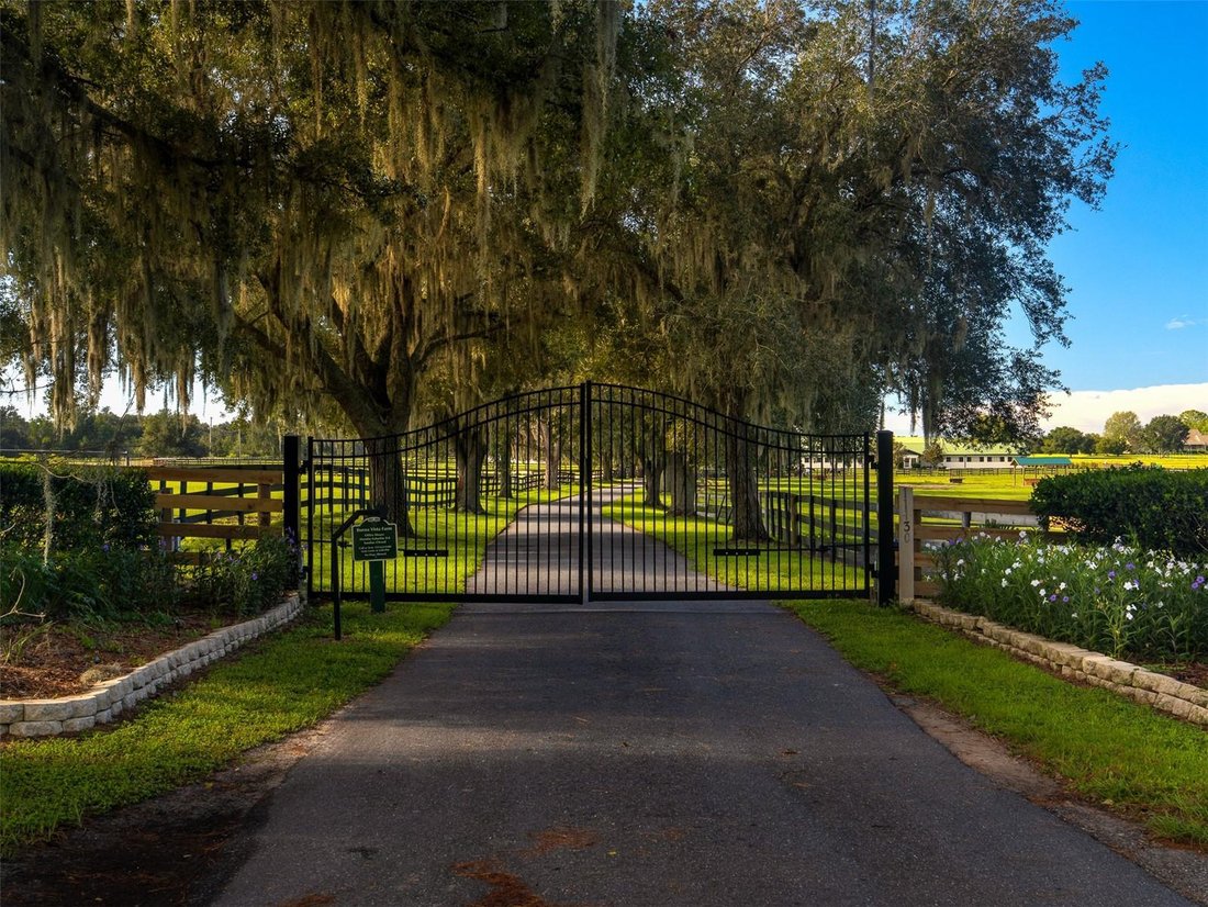 Corps de ferme à Ocala, Floride, États-Unis 3 - 18528323