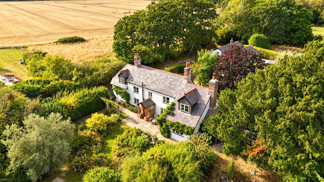 House in Bransgore, England 1 - 18850002