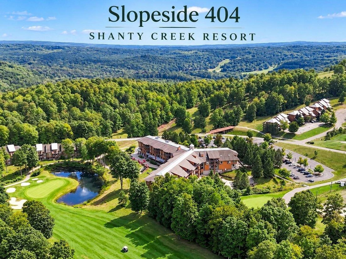 Condo in Central Lake, Michigan, United States 1 - 18842802