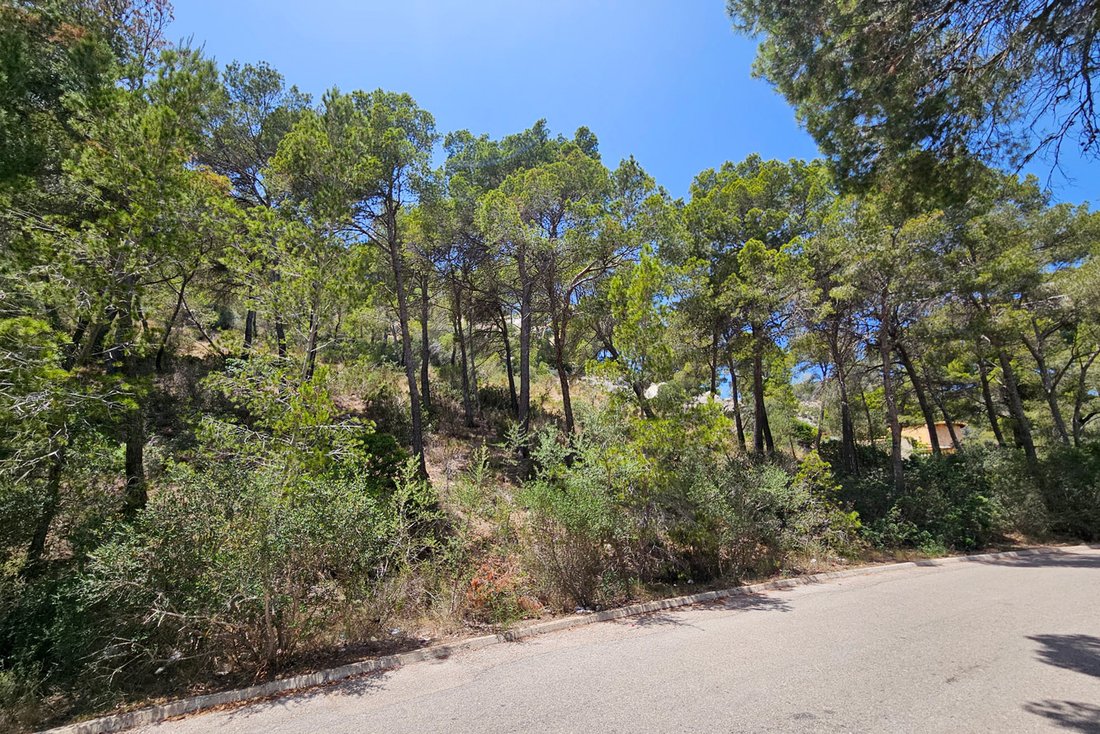 Land in Port d'Andratx, Andratx, Balearische Inseln 1 - 18846809