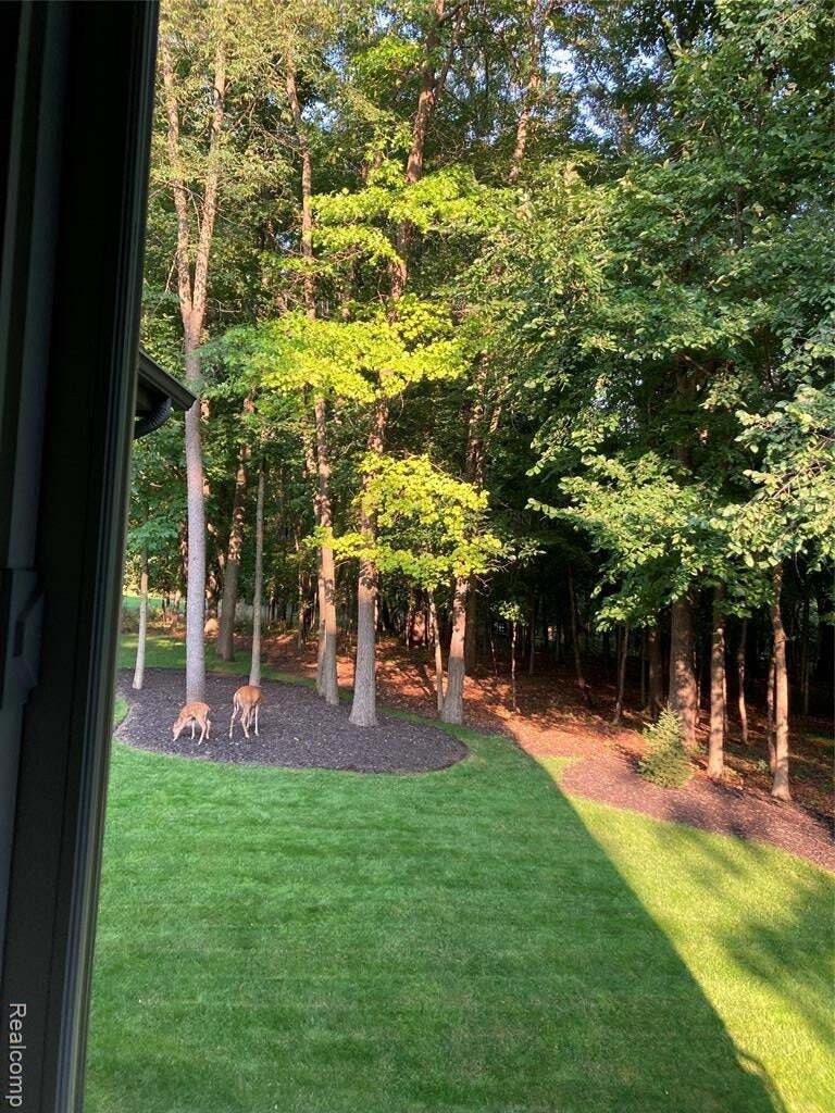 House in Fenton, Michigan, United States 4 - 18846485