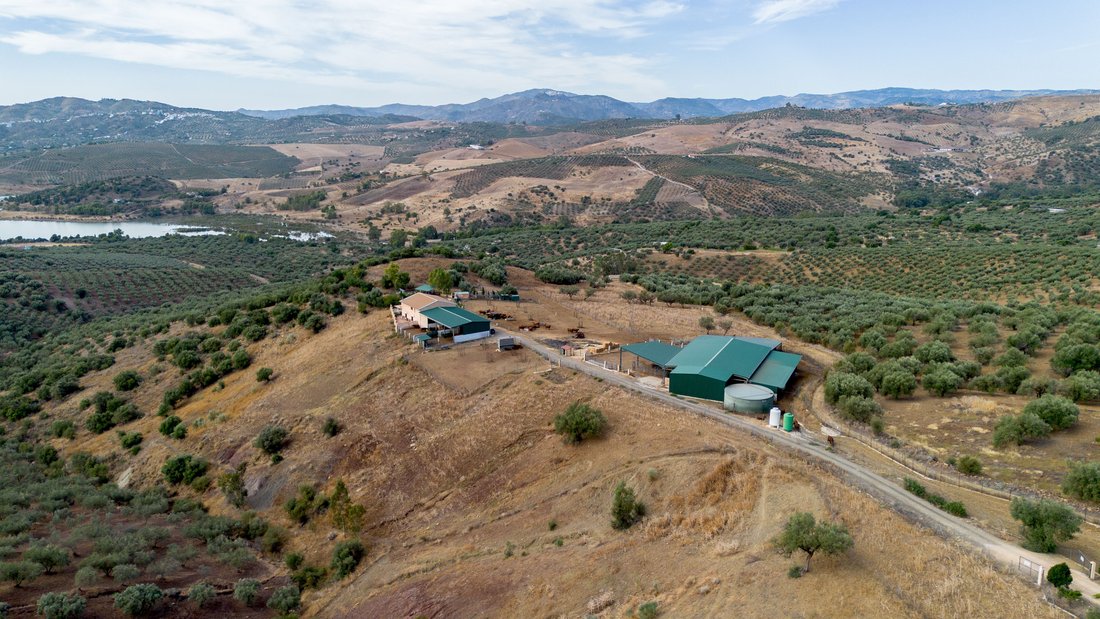 Terrain à Periana, Andalousie, Espagne 4 - 18851798