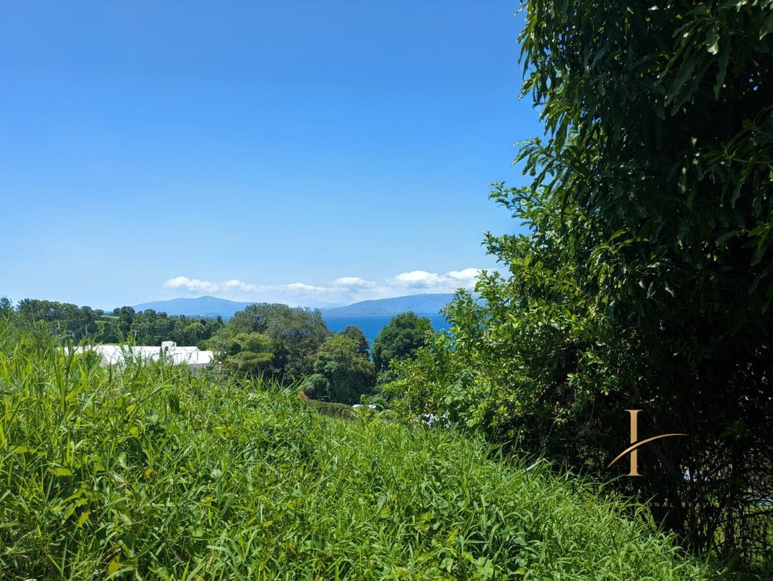 Haus in Trois-Rivières, Basse-Terre, Guadeloupe 5 - 18012158