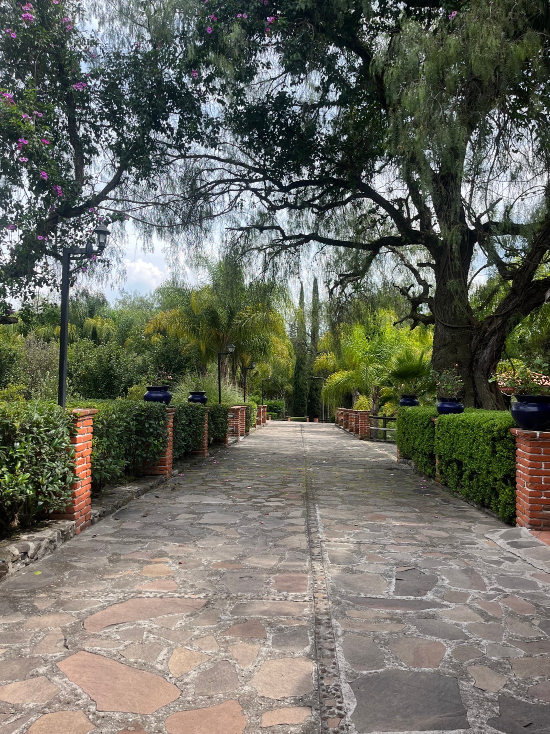 Rancho en Cañada de Madero, Hidalgo, México 2 - 18846590
