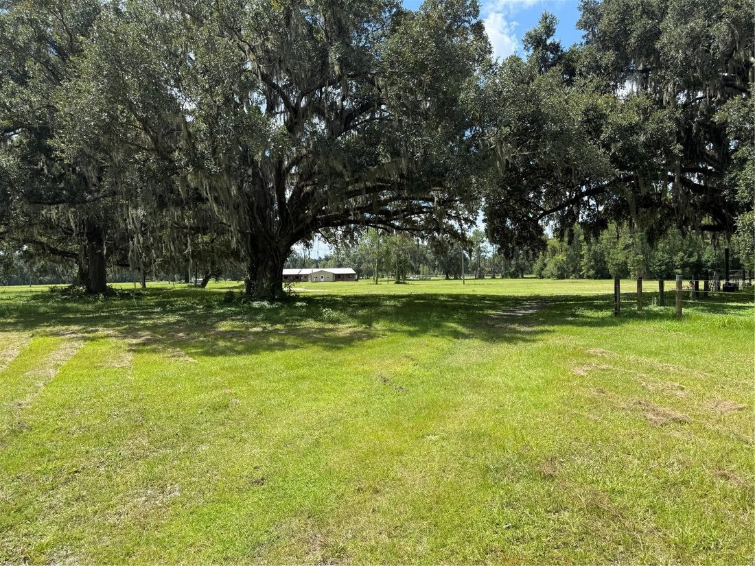 Maison à Webster, Floride, États-Unis 1 - 18842228