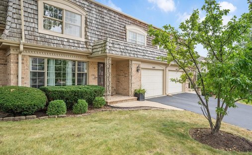 Maison de ville à Oak Brook, Illinois, États-Unis 1