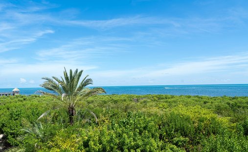 Condo in Tavernier, Florida, United States 1