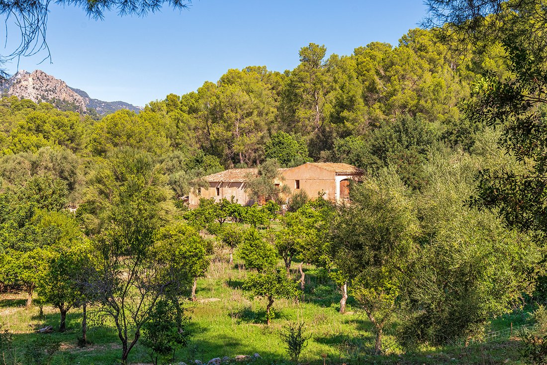 Terreno a Bunyola, Isole Baleari, Spagna 5 - 18846764