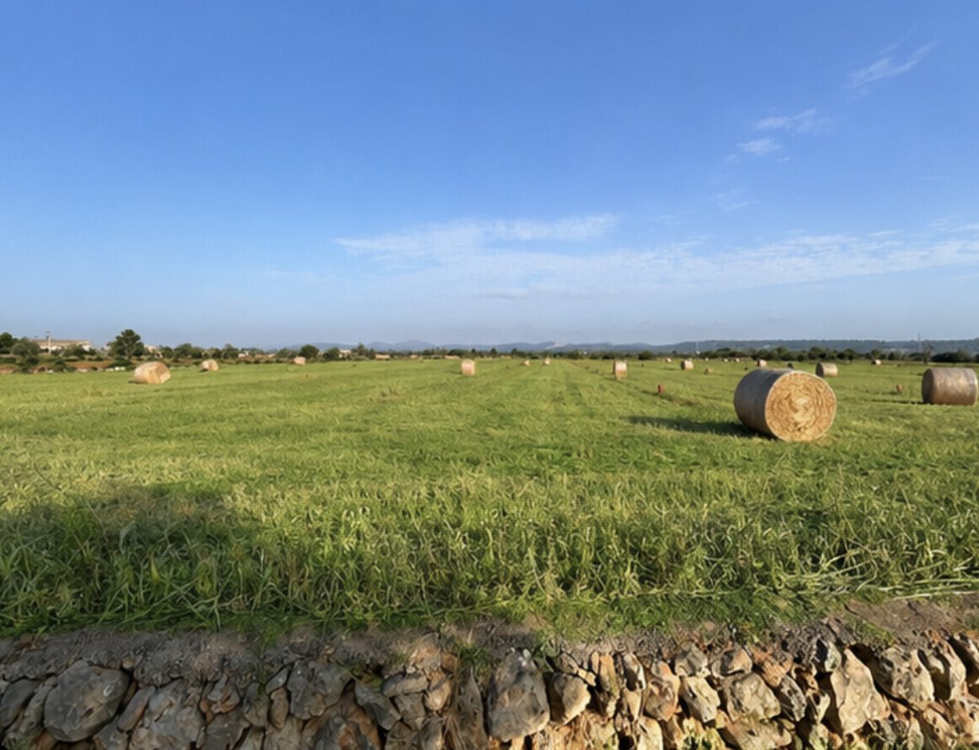 Land in Campos, Balearic Islands, Spain 2 - 18843321