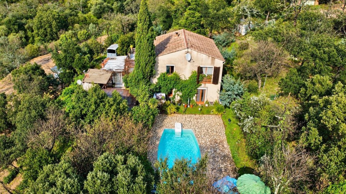 Apartment in Grimaud, Provence-Alpes-Côte d'Azur, France 1 - 18259704