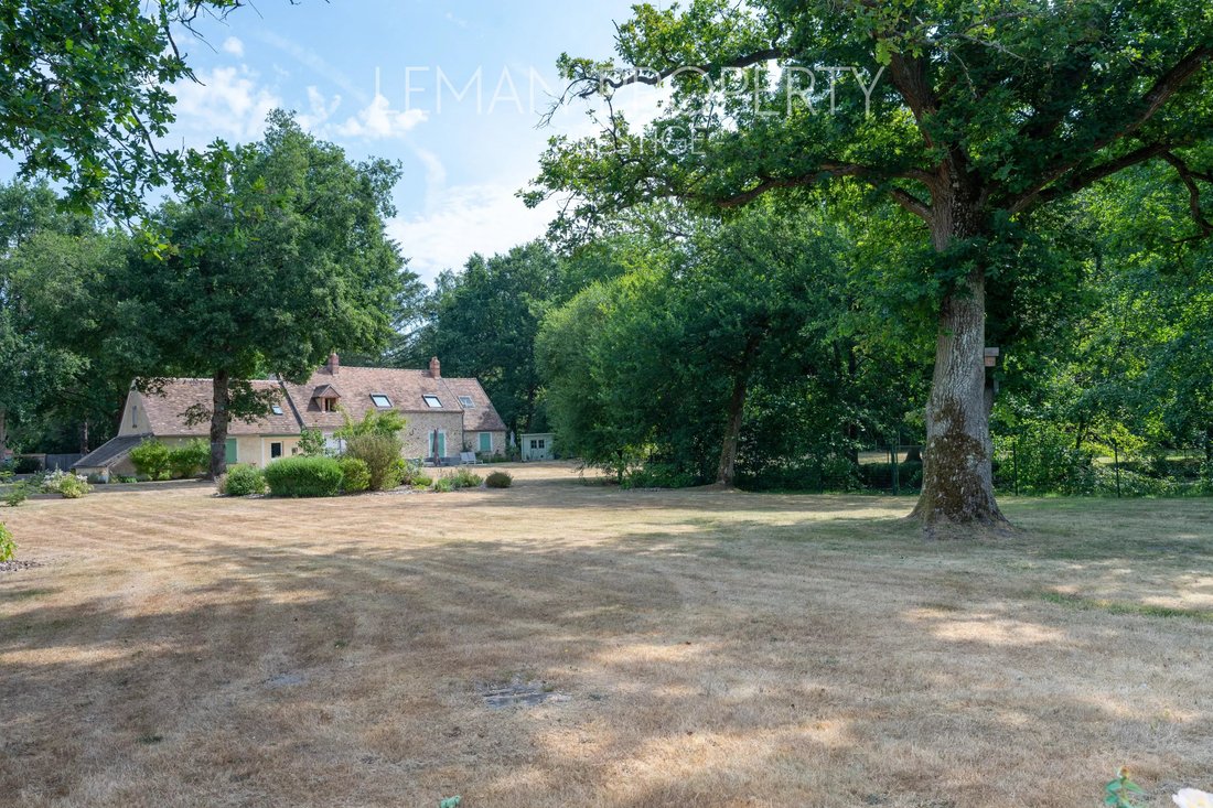 House in France 4 - 18844081