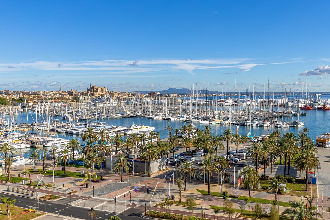 Apartment in Palma, Balearic Islands, Spain 1 - 18848068