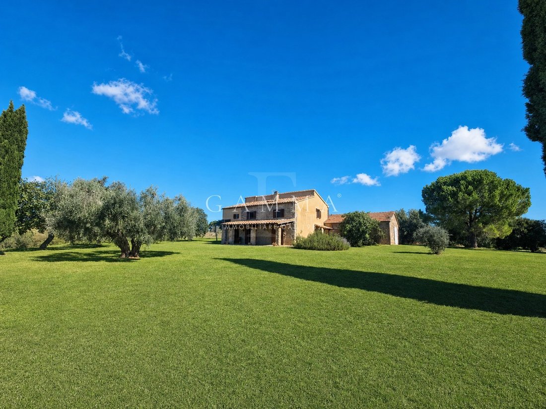 Landhaus in Magliano in Toscana, Toskana, Italien 5 - 18852568