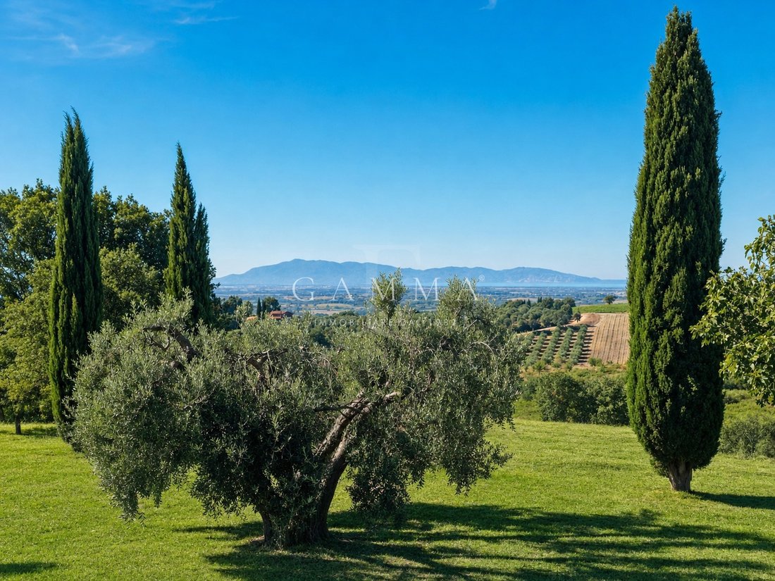 Landhaus in Magliano in Toscana, Toskana, Italien 4 - 18852568