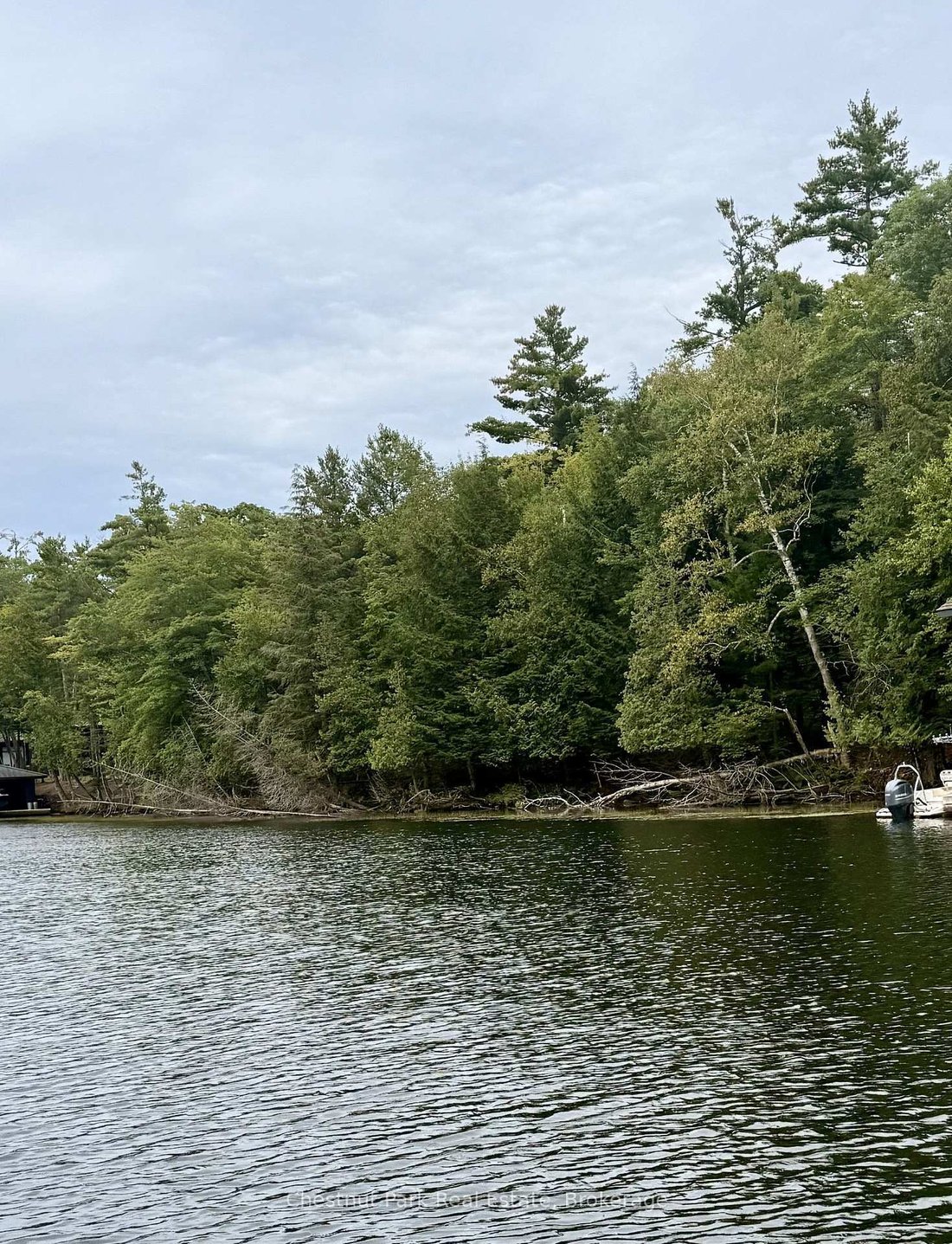 Terreno a Muskoka Lakes, Ontario, Canada 4 - 18855226