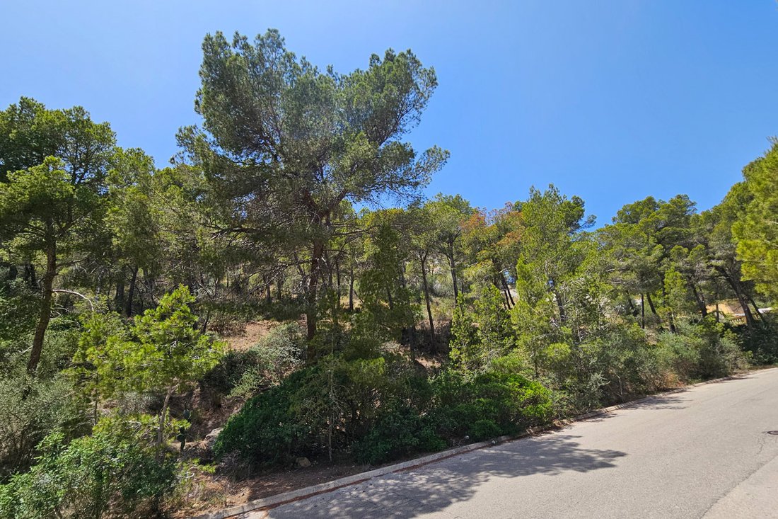 Terreno a Port d'Andratx, Andratx, Isole Baleari 5 - 18846783