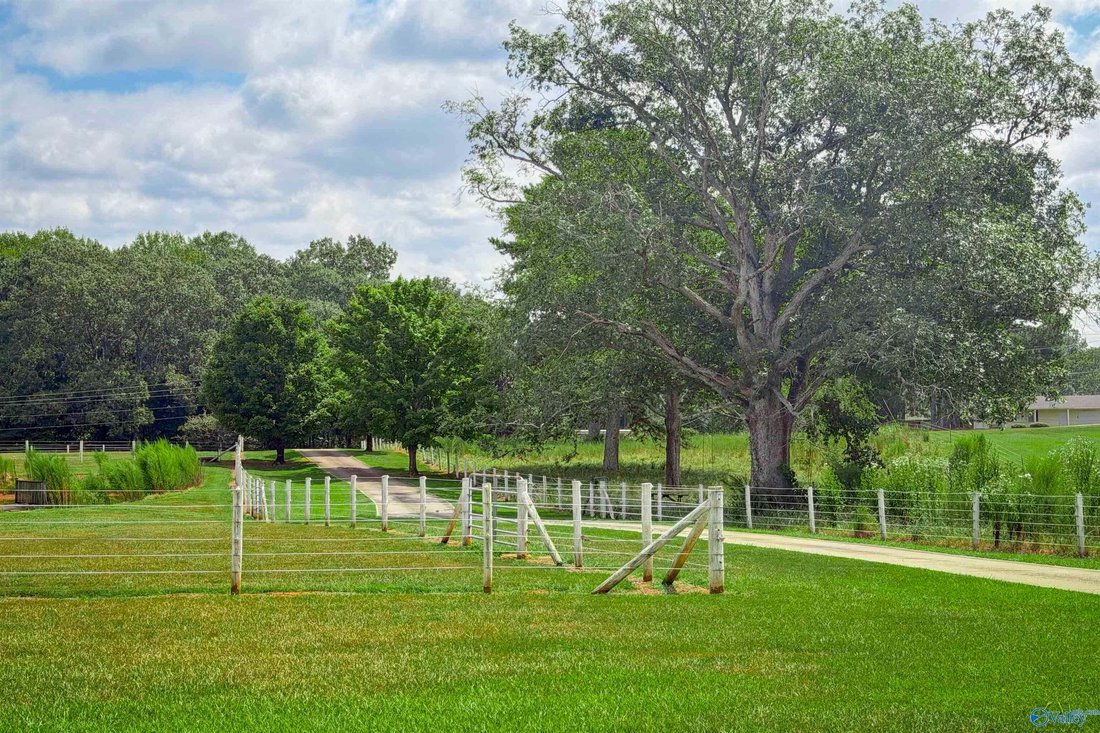 House in Florence, Alabama, United States 3 - 18849404